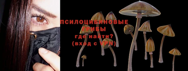 твердый Балахна