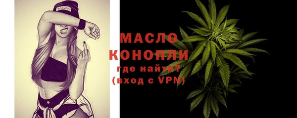 сатива Новозыбков