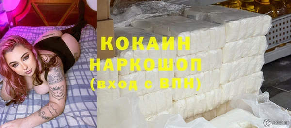 сатива Новозыбков