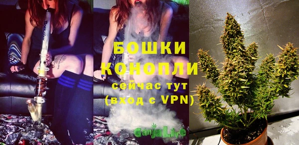 твердый Балахна